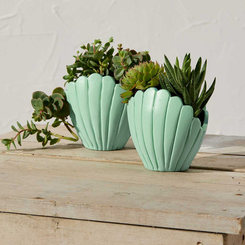 Seashell Planters
