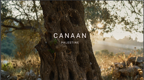 Canaan Palestine: Oils, Spices, Spreads