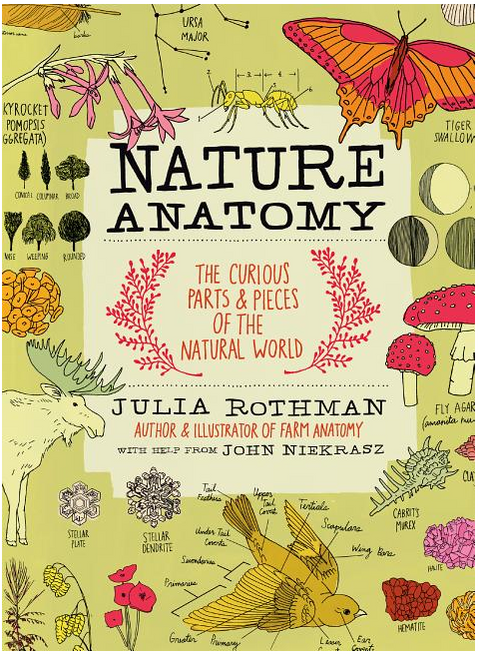 Nature Anatomy: The Curious Parts and Pieces of the Natural World (Anatomy)