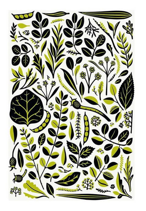 Bermuda Endemics Kitchen Towel | Mermade