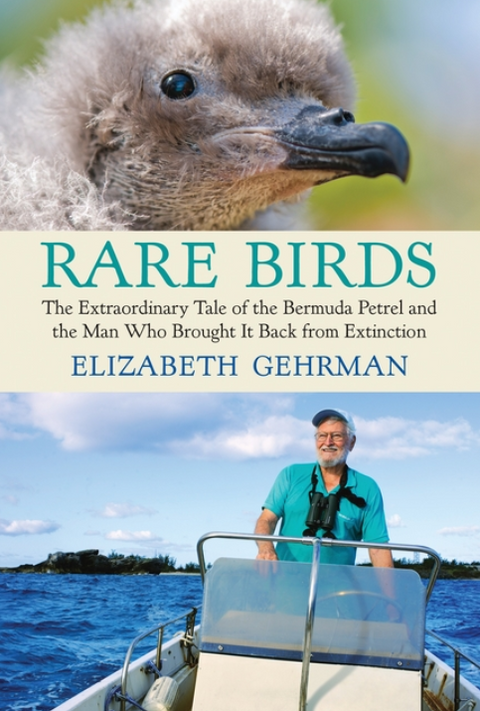 Rare Birds: The Extraordinary Tale of the Bermuda Petrel and the Man Who Brought It Back from Extinction