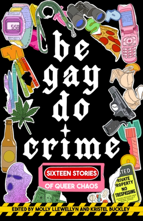 Be Gay, Do Crime